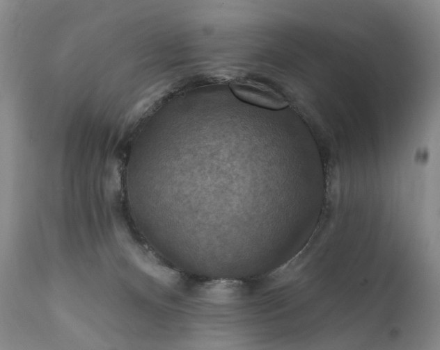 X0000111360128200907241231