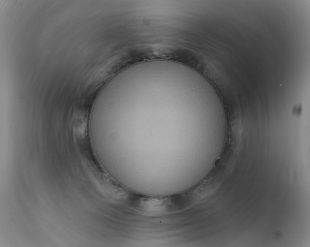 X0000111360129200907241231