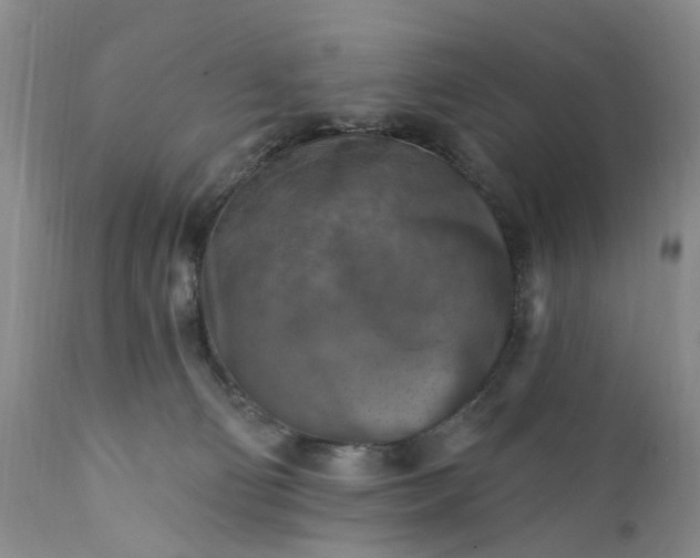 X0000111360130200907241231