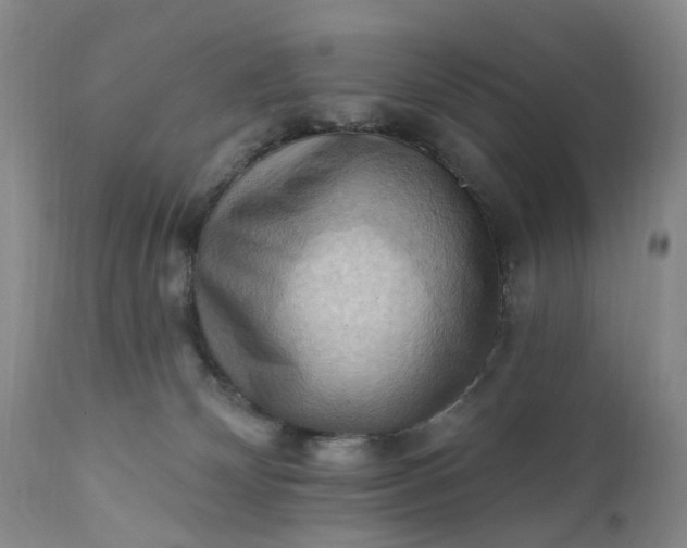 X0000111360132200907241231