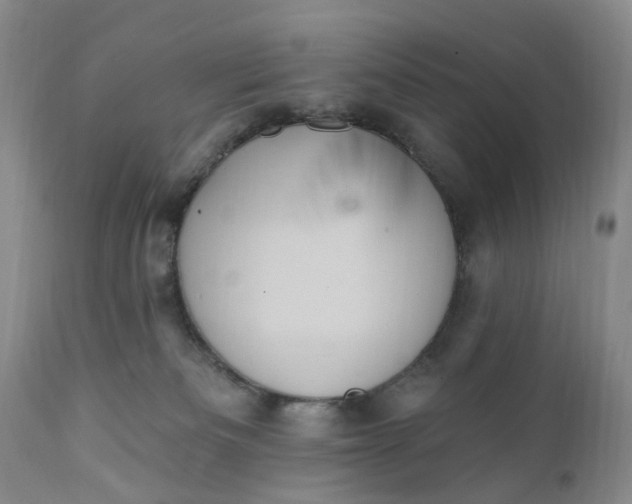 X0000111360133200907241231