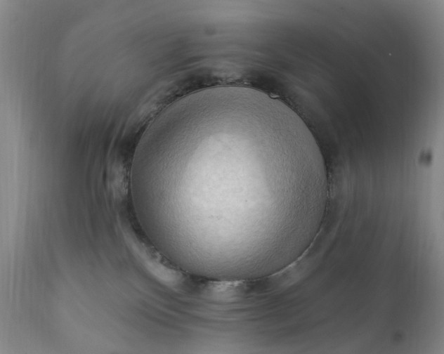 X0000111360136200907241231