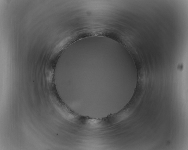 X0000111360139200907241231