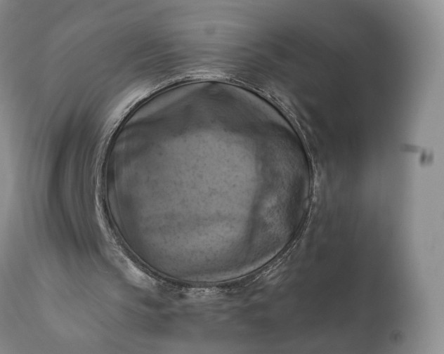 X0000111360145200907241230