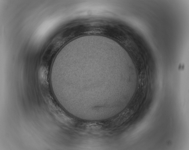 X0000111360146200907241230