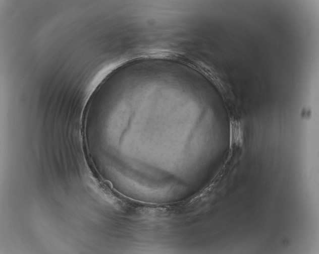 X0000111360147200907241230