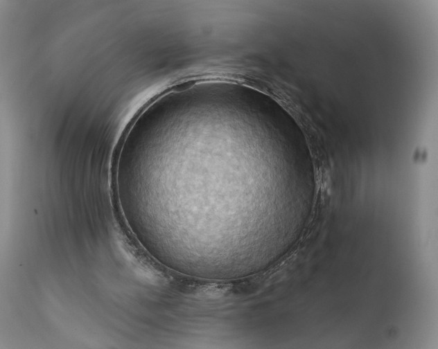X0000111360148200907241230