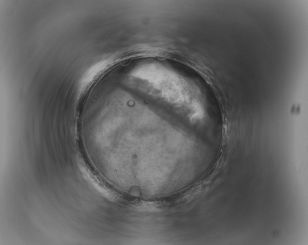 X0000111360149200907241230