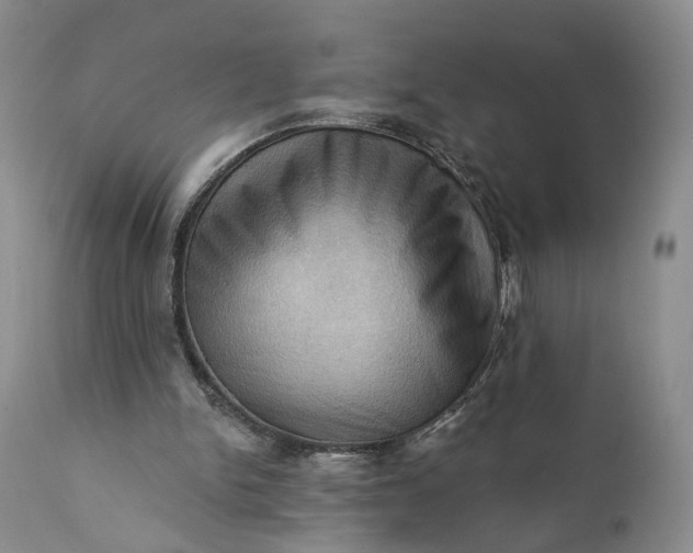 X0000111360150200907241230