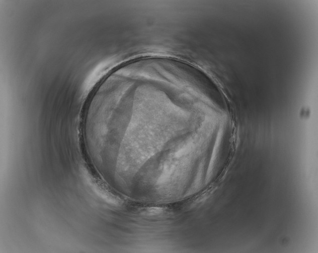 X0000111360151200907241230