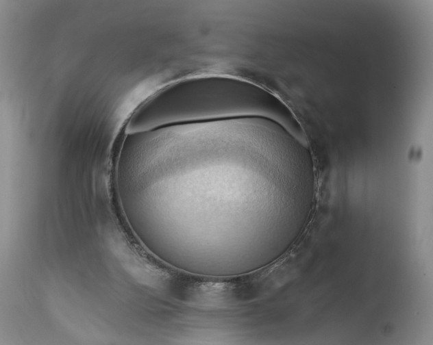 X0000111360152200907241230