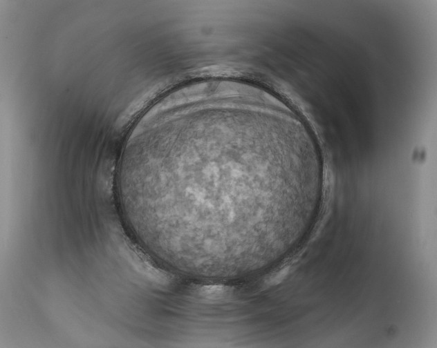 X0000111360153200907241230