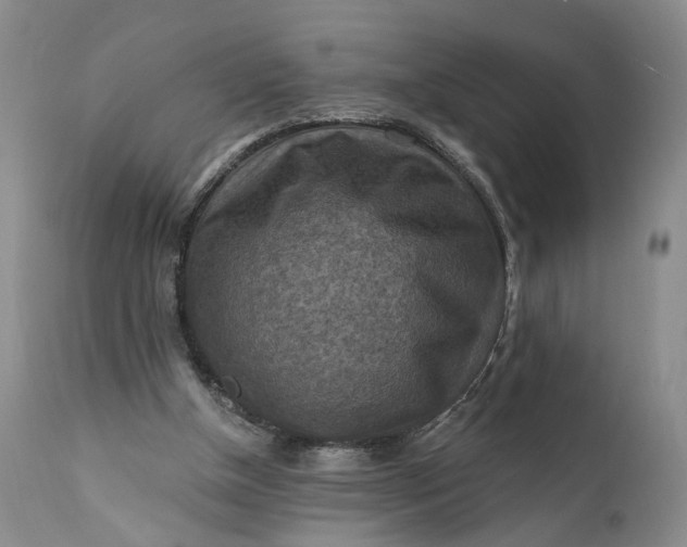 X0000111360154200907241230