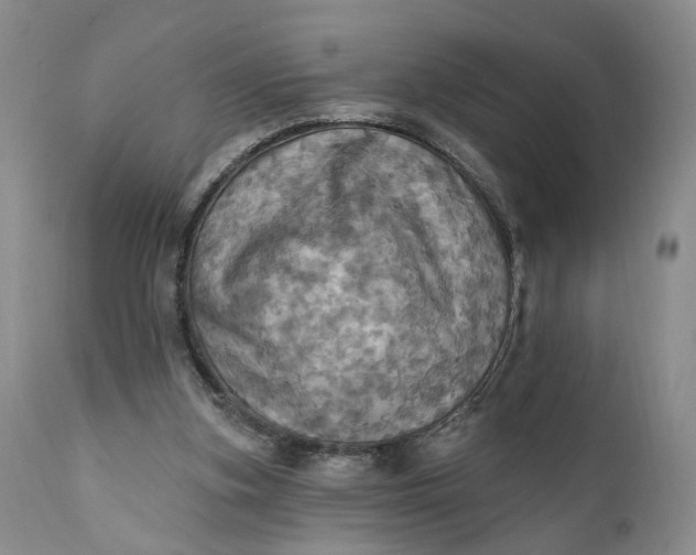 X0000111360155200907241230