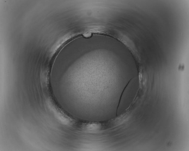 X0000111360156200907241230