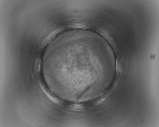 X0000111360157200907241230