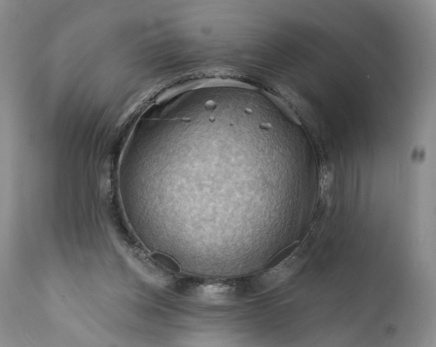 X0000111360158200907241230