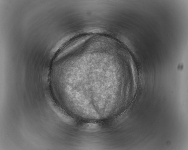 X0000111360159200907241230