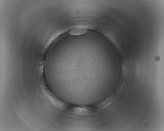 X0000111360160200907241230