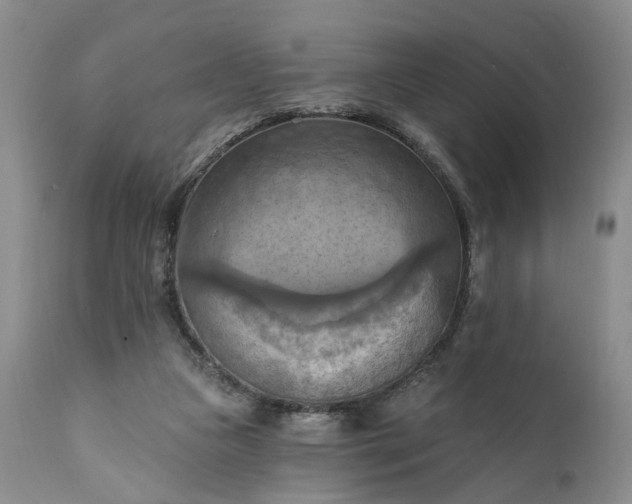 X0000111360161200907241230