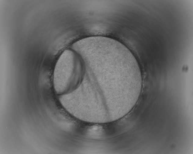 X0000111360162200907241230