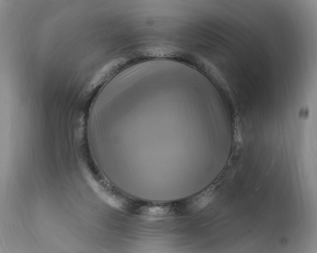 X0000111360163200907241230