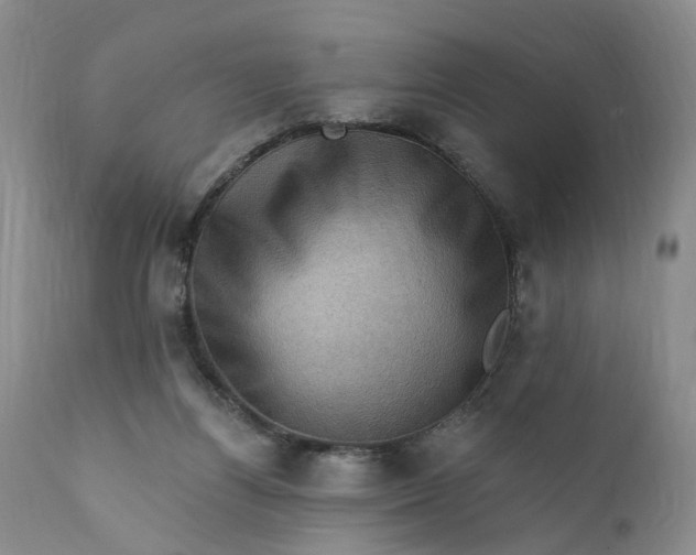 X0000111360164200907241230