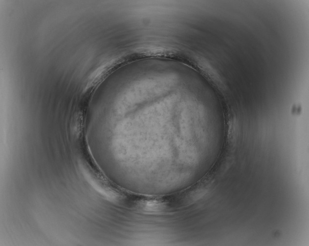 X0000111360165200907241230