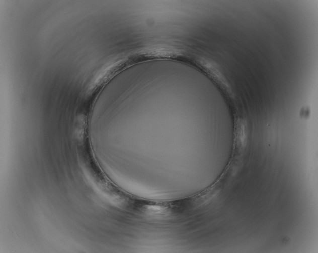 X0000111360167200907241230