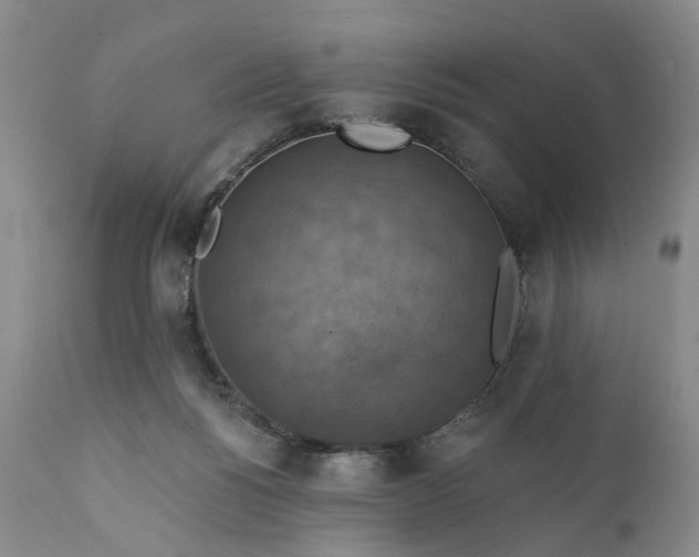 X0000111360168200907241230