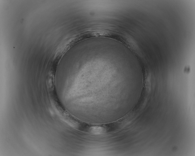 X0000111360169200907241230