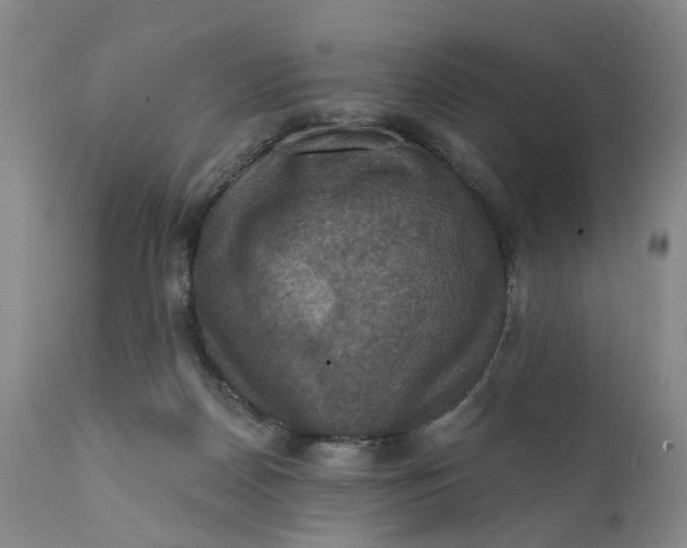 X0000111360170200907241230