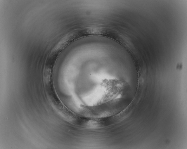 X0000111360171200907241230