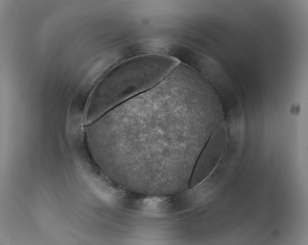 X0000111360172200907241230