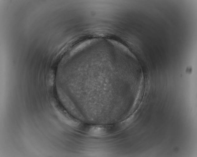 X0000111360174200907241230