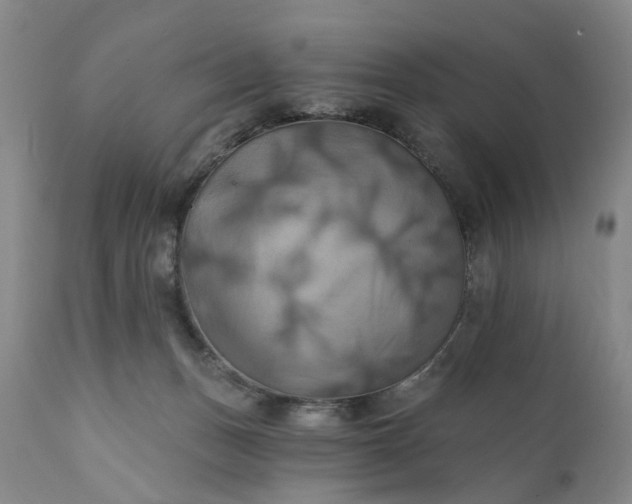 X0000111360175200907241230