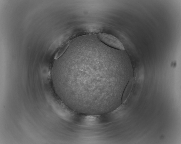 X0000111360176200907241230