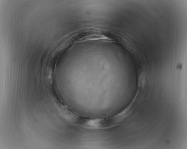 X0000111360178200907241231