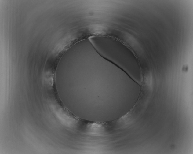 X0000111360180200907241231