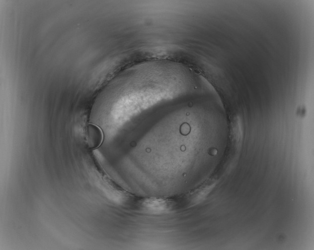 X0000111360181200907241231