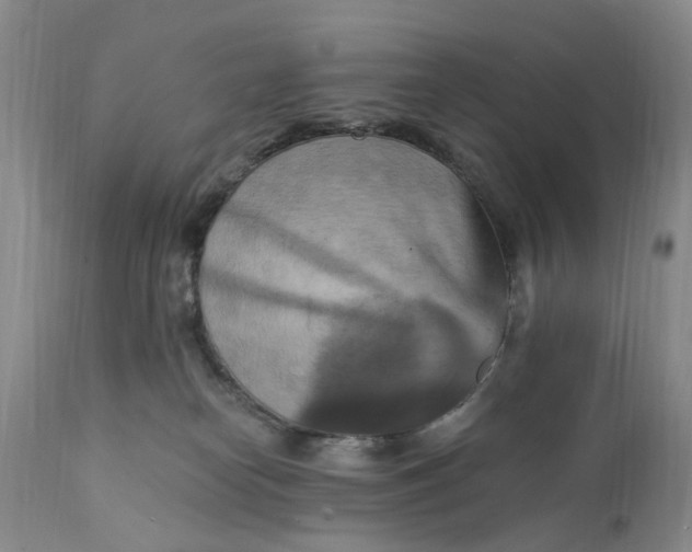 X0000111360182200907241231