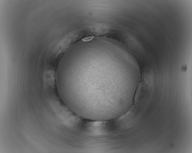 X0000111360184200907241231