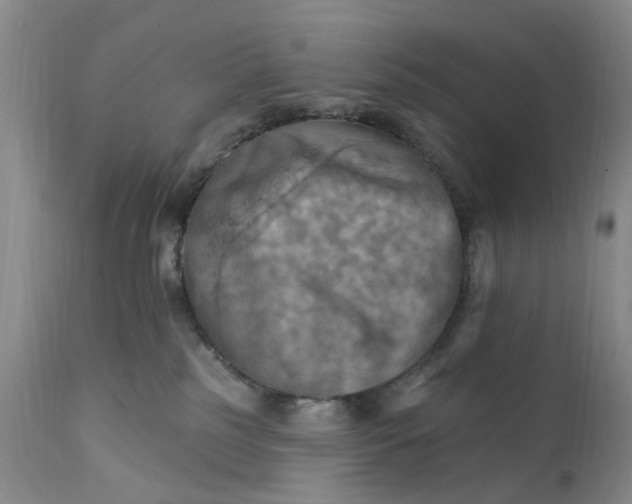 X0000111360185200907241231