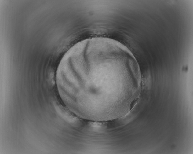 X0000111360187200907241231