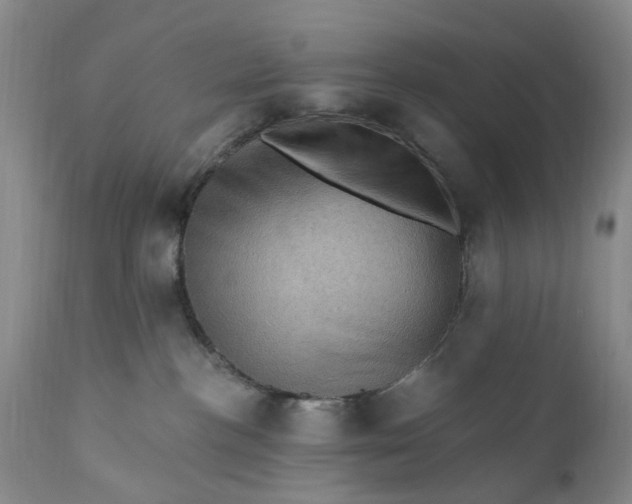 X0000111360188200907241231