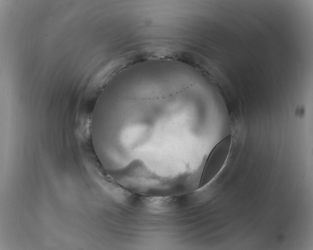 X0000111360191200907241231