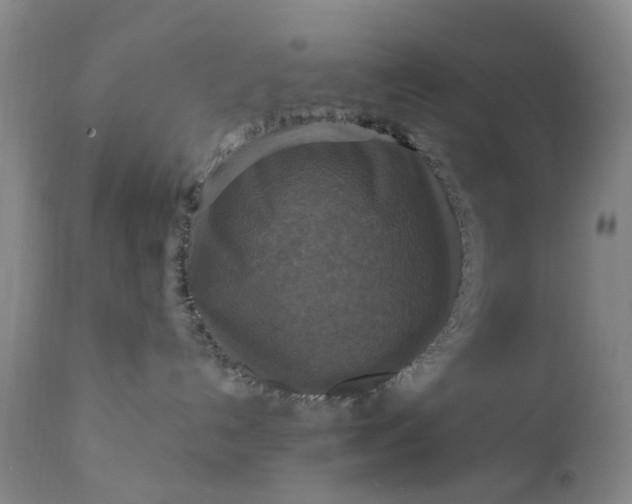 X0000111360192200907241231