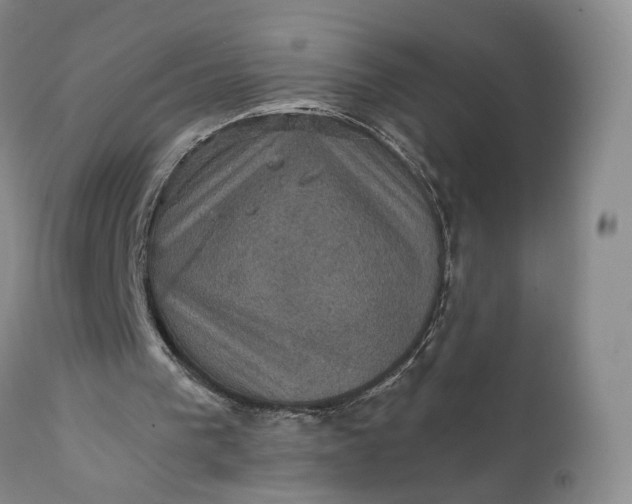 X0000111360193200907241230