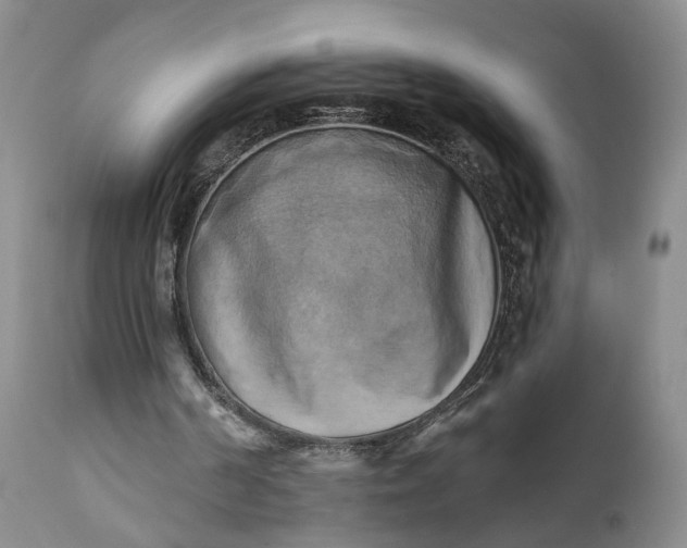 X0000111360194200907241230