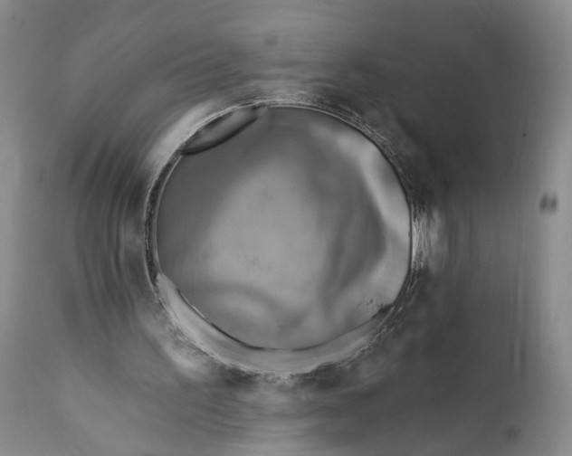 X0000111360195200907241230